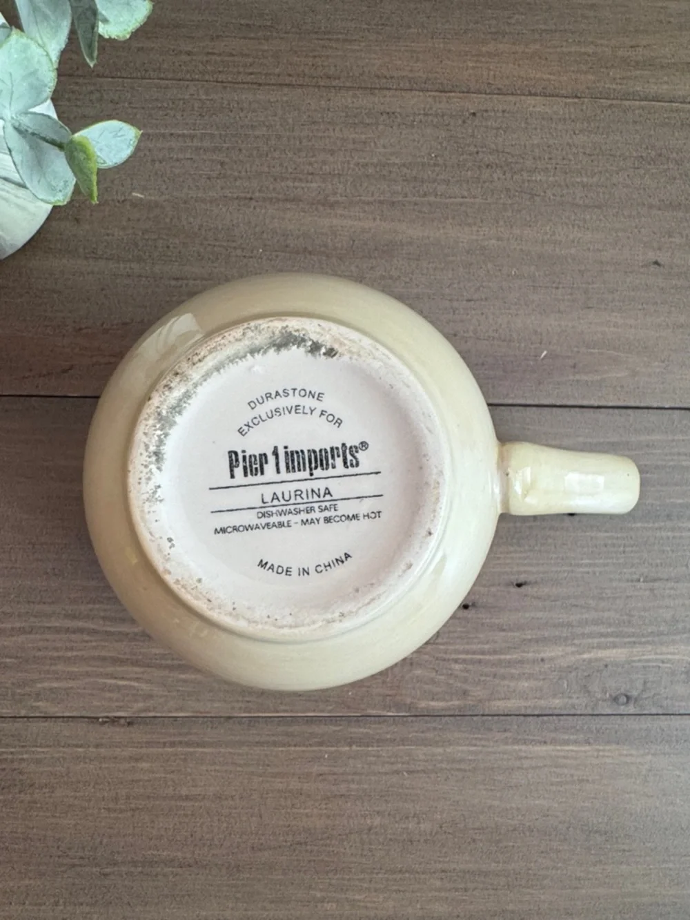 Pier 1 Imports Laurina Coffee Mug